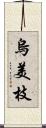 烏美枝 Scroll