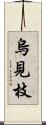 烏見枝 Scroll