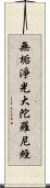 無垢淨光大陀羅尼經 Scroll