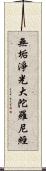 無垢淨光大陀羅尼經 Scroll