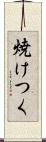 焼けつく Scroll