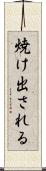 焼け出される Scroll