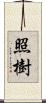 照樹 Scroll