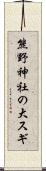 熊野神社の大スギ Scroll