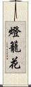 燈籠花 Scroll