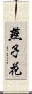 燕子花 Scroll