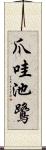 爪哇池鷺 Scroll