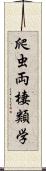 爬虫両棲類学 Scroll