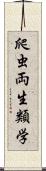 爬虫両生類学 Scroll