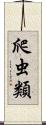 爬虫類 Scroll