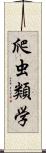 爬虫類学 Scroll