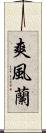 爽風蘭 Scroll