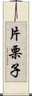 片栗子 Scroll