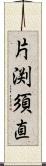 片渕須直 Scroll