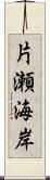 片瀬海岸 Scroll