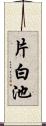 片白池 Scroll