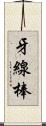 牙線棒 Scroll