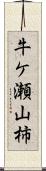 牛ケ瀬山柿 Scroll