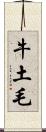 牛土毛 Scroll