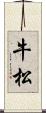 牛松 Scroll