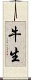 牛生 Scroll