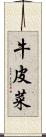 牛皮菜 Scroll