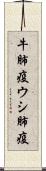 牛肺疫 Scroll