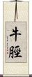 牛脛 Scroll
