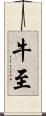 牛至 Scroll