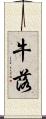 牛落 Scroll