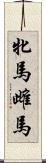 牝馬 Scroll