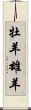 牡羊;雄羊 Scroll