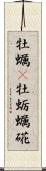 牡蠣(P) Scroll
