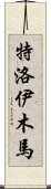 特洛伊木馬 Scroll