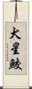 犬星鮫 Scroll