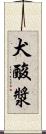 犬酸漿 Scroll