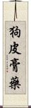 狗皮膏藥 Scroll