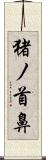 猪ノ首鼻 Scroll