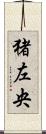 猪左央 Scroll