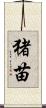 猪苗 Scroll