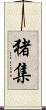 猪集 Scroll