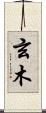 玄木 Scroll