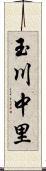 玉川中里 Scroll