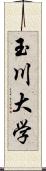 玉川大学 Scroll