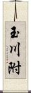 玉川附 Scroll