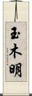 玉木明 Scroll