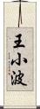 王小波 Scroll