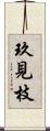 玖見枝 Scroll