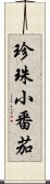 珍珠小番茄 Scroll