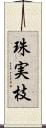 珠実枝 Scroll